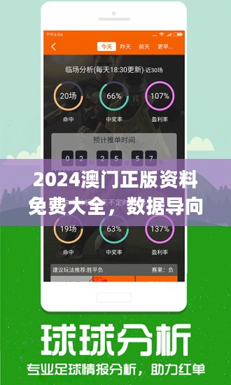 澳彩精准大全解析，实用指南与释义落实