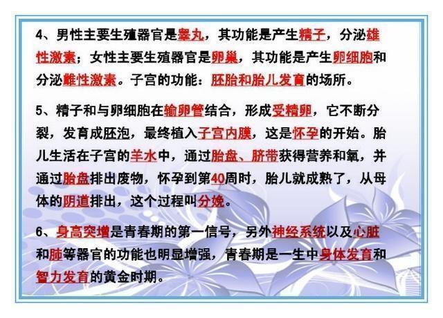 白小姐三肖免费大全。精选解析解释落实